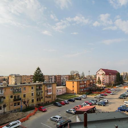 Zen Alpin Studio Apartment Brasov Exterior photo