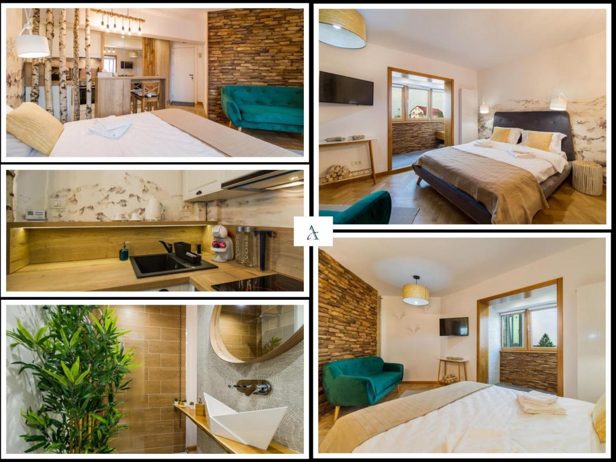 Zen Alpin Studio Apartment Brasov Exterior photo