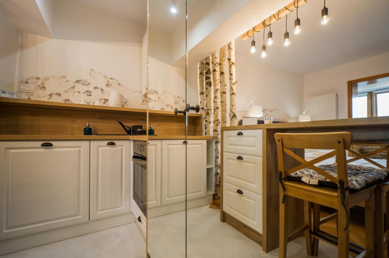 Zen Alpin Studio Apartment Brasov Exterior photo