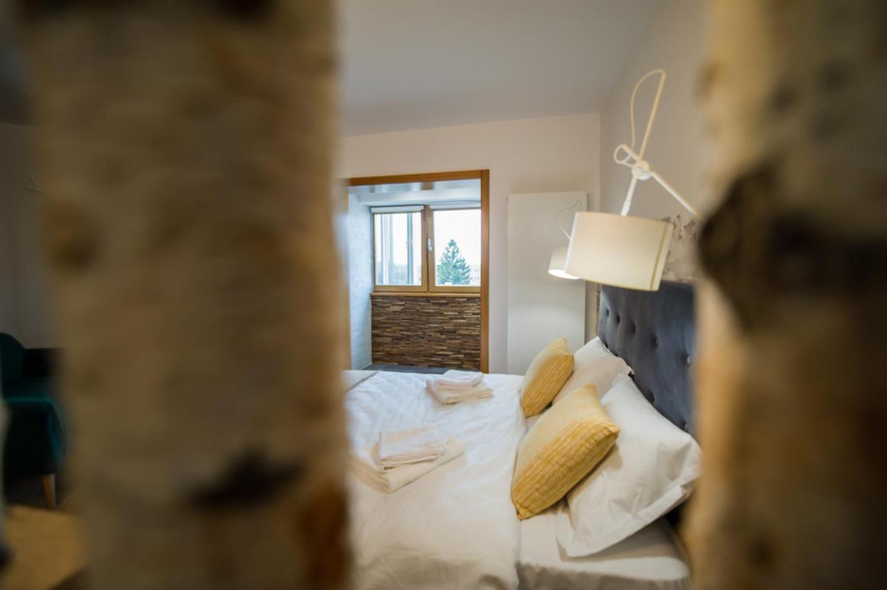 Zen Alpin Studio Apartment Brasov Exterior photo