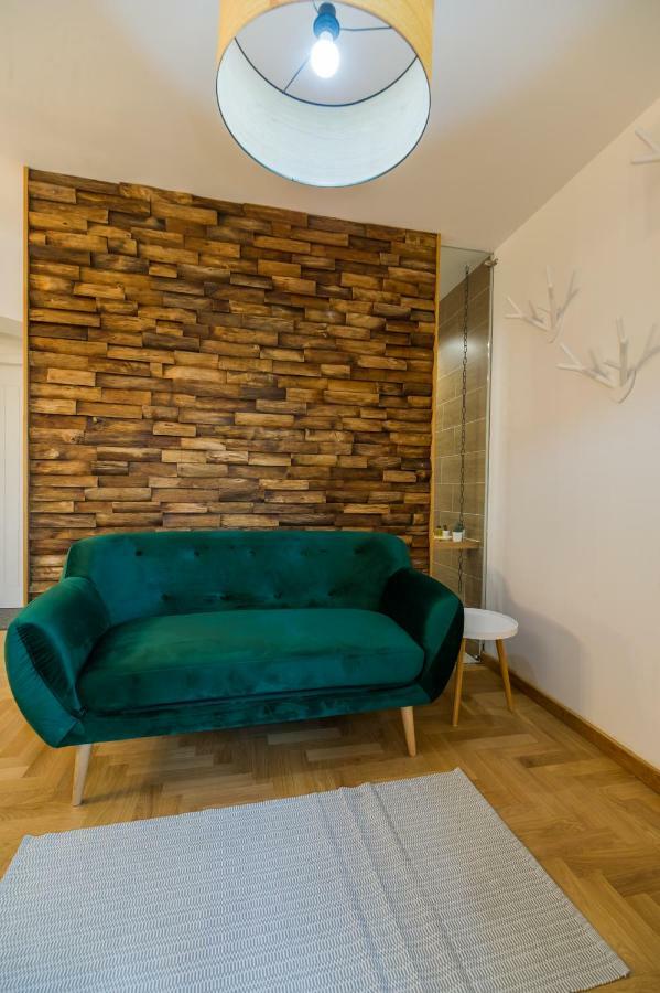 Zen Alpin Studio Apartment Brasov Exterior photo