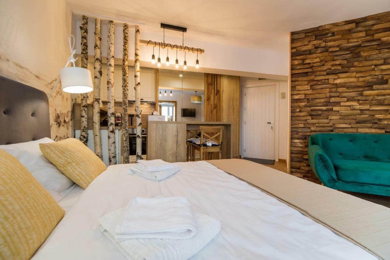 Zen Alpin Studio Apartment Brasov Exterior photo